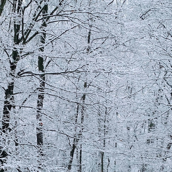 Meet your Posher, Ian - Picture 1 of 1